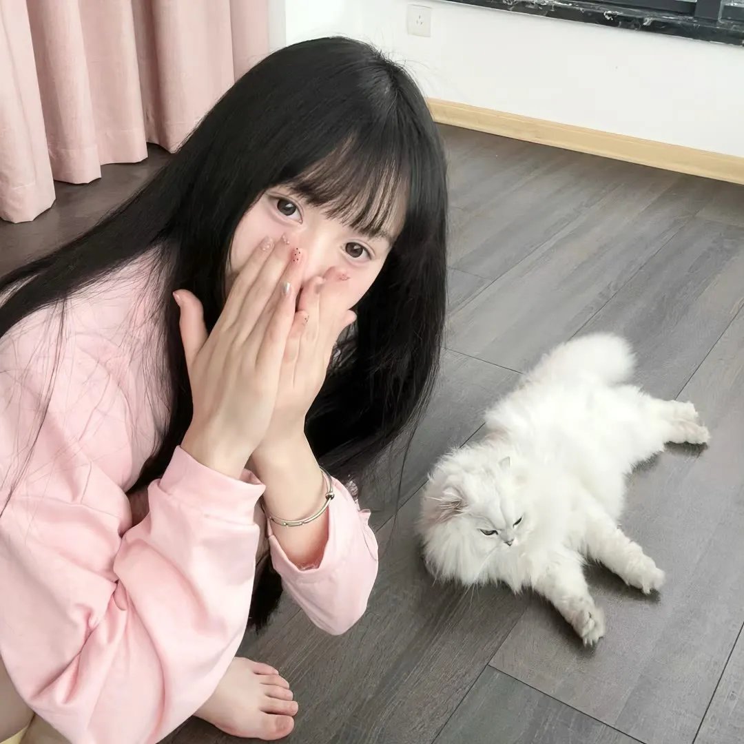 缘来没法挡粤语